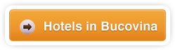 Hotels in Bucovina