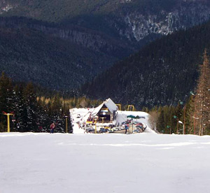 Paltinis Resort