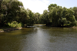 Danube Delta – a unique reservation in Europe