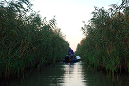 Danube Delta – a unique reservation in Europe
