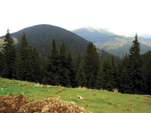 Rodna Mountains - Maramures