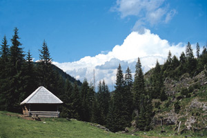 Rodna Mountains - Maramures