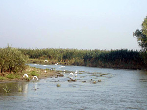 Delta Dunarii