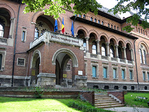 Muzeul Taranului Roman, Bucuresti