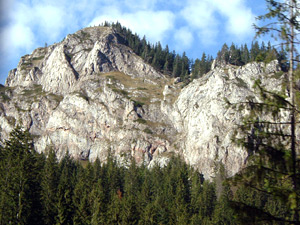 Judetul Neamt