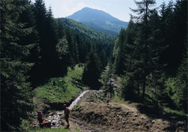 Muntii Maramures