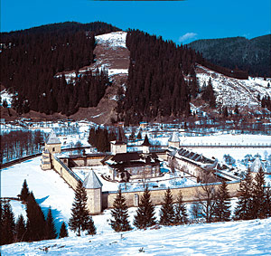 Sucevita