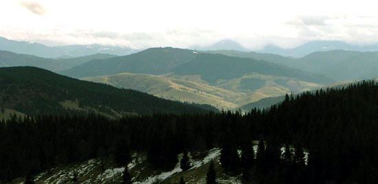 Bucovina Mountains