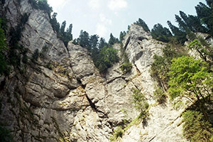 Cetatile Ponorului, Apuseni Mountains
