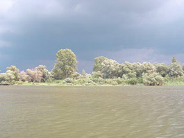 Danube Delta – a unique reservation in Europe
