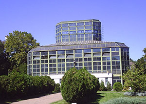 Botanical Garden, Bucharest