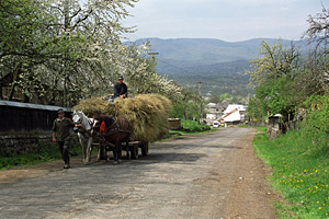 Hoteni village - Maramures