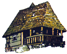Traditional Houses - Moiseni (Satu Mare County)